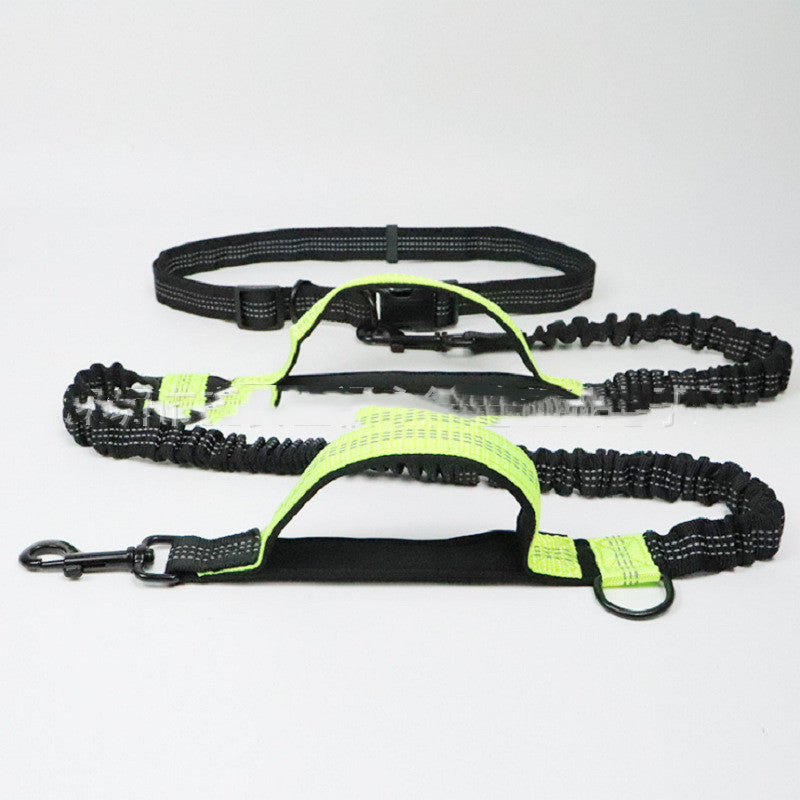 Heavy-Duty Extendable Dog Training Leash