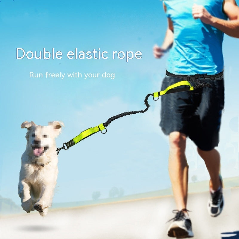 Heavy-Duty Extendable Dog Training Leash
