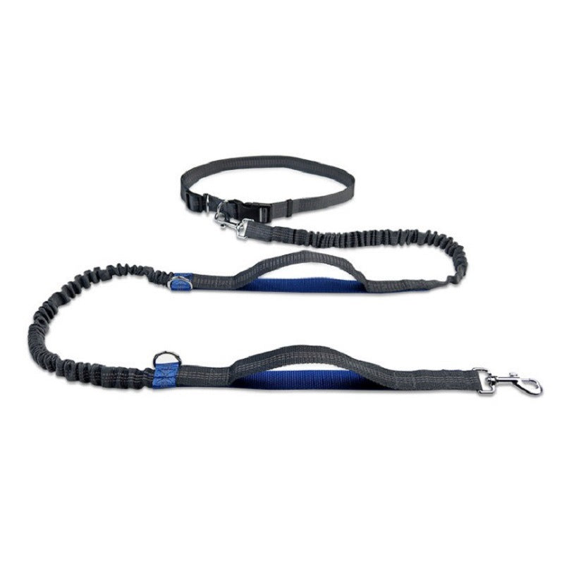 Heavy-Duty Extendable Dog Training Leash
