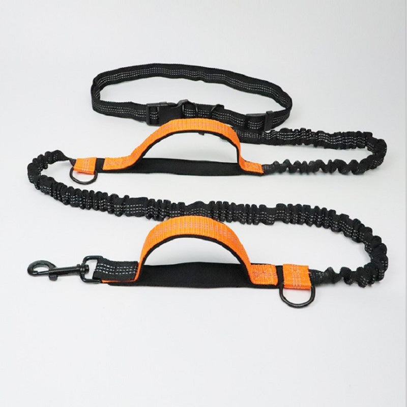 Heavy-Duty Extendable Dog Training Leash